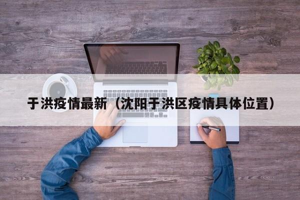 于洪疫情最新（沈阳于洪区疫情具体位置）