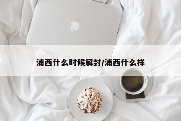 浦西什么时候解封/浦西什么样